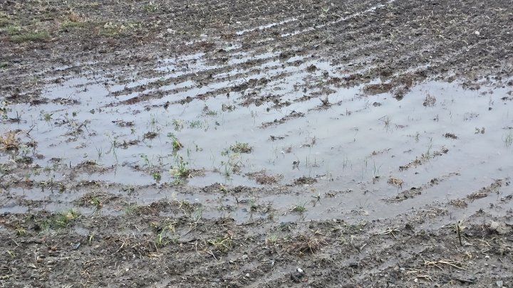 Povodně, ilustrační fotografe. 