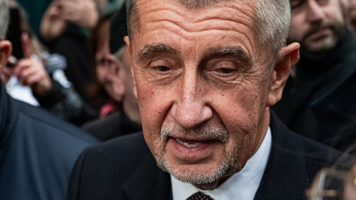 Andrej Babiš na Národní třídě během oslav 17. listopadu