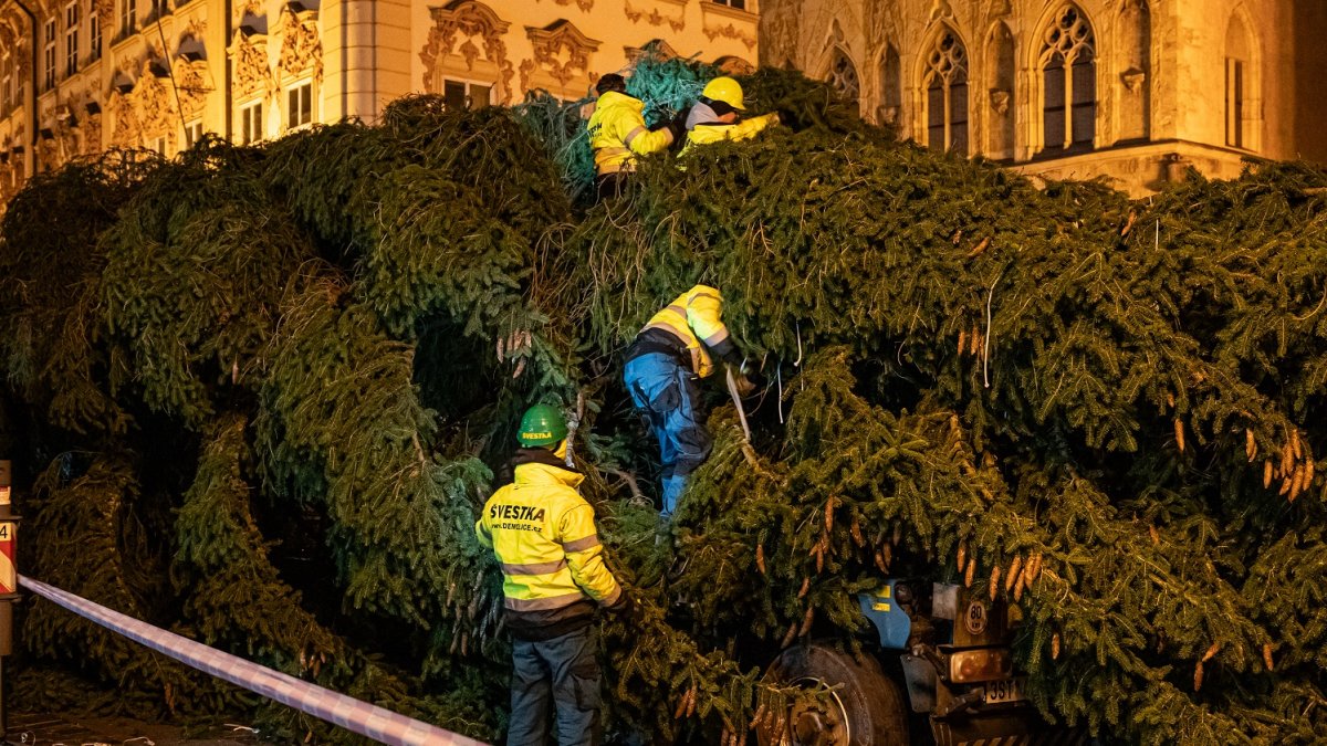 Ukotvení vánočního stromu na Staroměstském náměstí (26.11.2024)