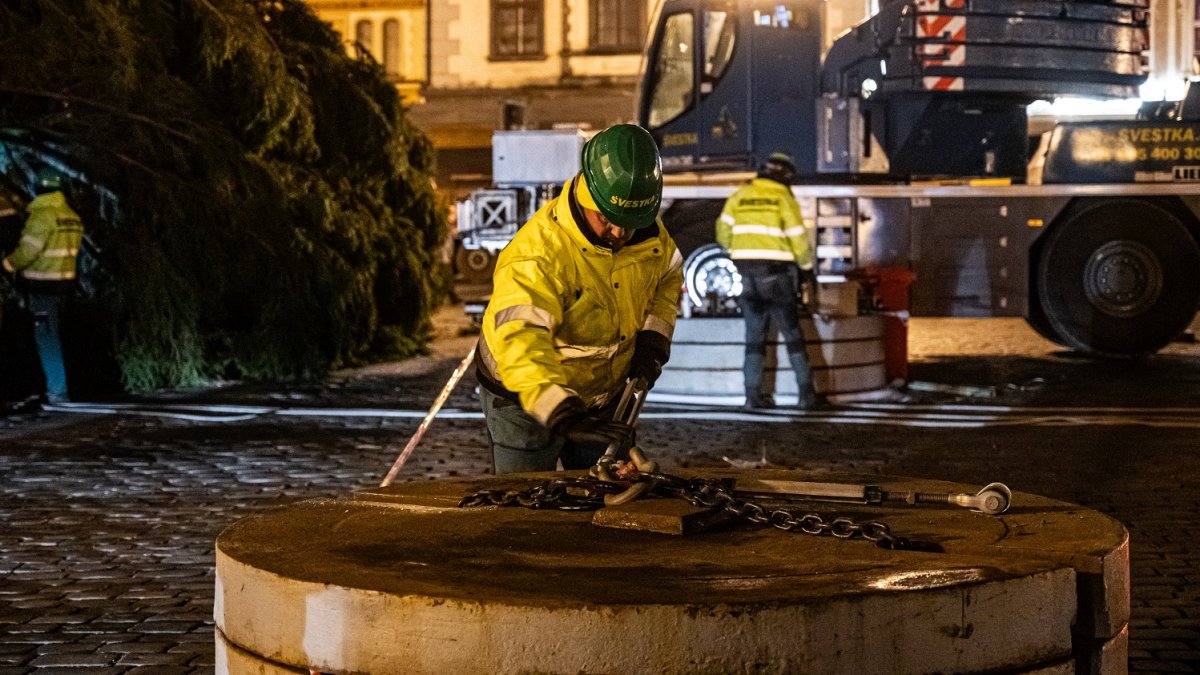 Ukotvení vánočního stromu na Staroměstském náměstí (26.11.2024)