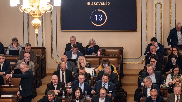 Hlasování v Poslanecké sněmovně