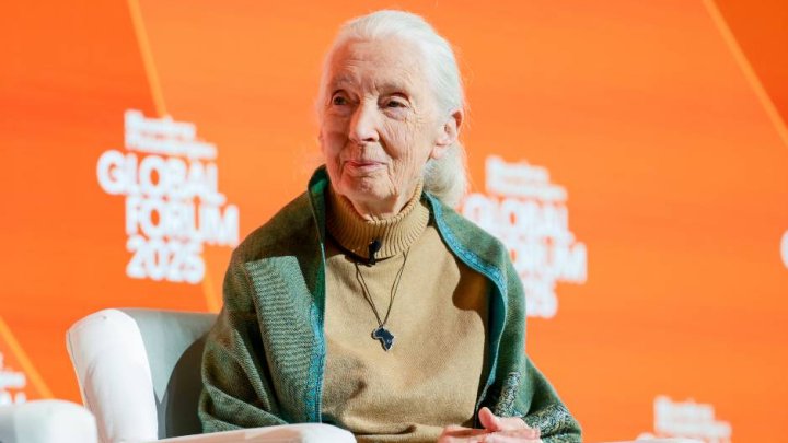 Jane Goodallová