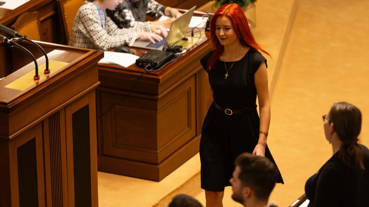 Politici se sešli na ustavující schůzi Poslanecké sněmovny. (3.11.2025)